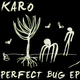 Karo Perfect Bug EP