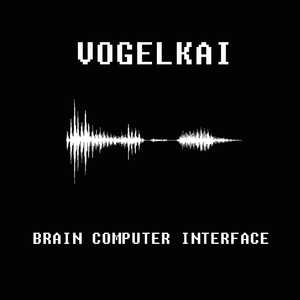 Vogelkai - Brain Computer Interface (Musikproduktion Kai Vogel)