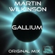Martin Wilkinson Gallium (MW Mix)