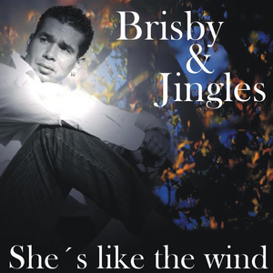 Brisby & Jingles - She?s like the wind (Andorfine Records)
