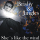 Brisby & Jingles She?s like the wind