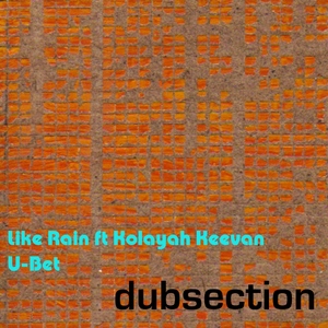dubsection - Like Rain  (Consection)