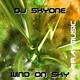 Dj Skyone Wind on Sky