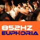 852Hz Euphoria 852Hz Euphoria