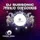 DJ Subsonic Prince Gorgeous