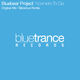 Bluebear Project Nowhere To Go