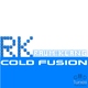 Raum Klang Cold Fusion