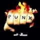 Steinregen Punx Not Junx