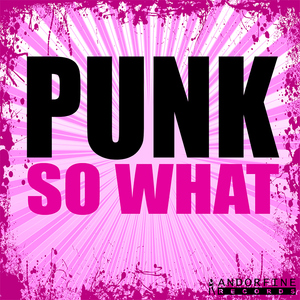 PUNK - So What (Andorfine Records) PUNK - So What (Andorfine Records)