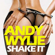 Andy Wylie Shake It