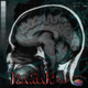 Rawar Brain Scan