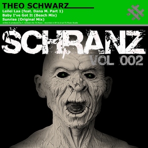 Theo Schwarz - Schranz Vol. 002 (Ts Music) Theo Schwarz - Schranz Vol. 002 (Ts Music)