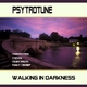 Psytrotune Walking in Darkness Psytrotune Walking in Darkness