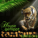 Housegeflippt Tambura Housegeflippt Tambura