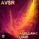 Avsr Magellanic Cloud Avsr Magellanic Cloud