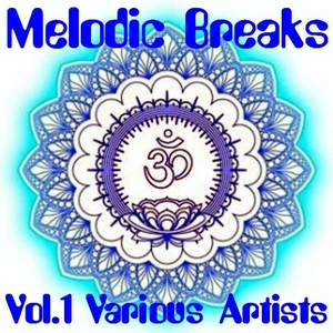 Various - Melodic Breaks Vol.1 (Kayowa Records)