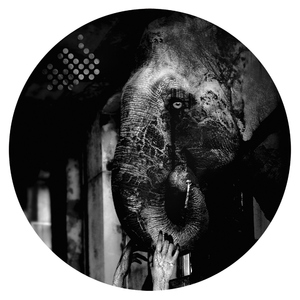 Various Artists - Perestroyka Kids EP (Datablender)