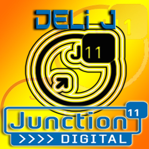 Deli J - Damaged Goods (Junction 11 Records)