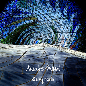 Salvinorin - Awake Mind (Mind Tweakers Records) Salvinorin - Awake Mind (Mind Tweakers Records)