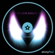 John Gerard Fallen Angels