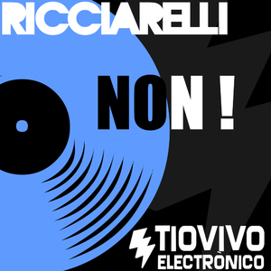 Ricciarelli - Non ! (Tiovivo Electr&ograve;nico records)
