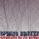Spring Breeze Snowflakes On the Record