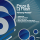 Freza & DJ Flash Groovy House