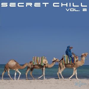 Various Artists - Secret Chill - Vol.2 (GoFish Records)
