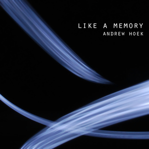 Andrew Hoek - Like A Memory (Transfigured Music)