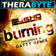 Busho Burning