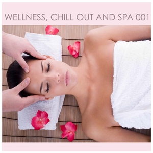 Various Artists - Wellness, Chill Out and SPA (DAD MEDIA)