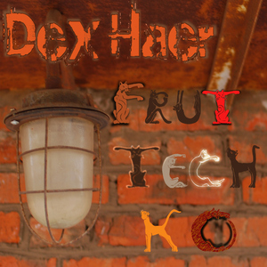 Dex Haer - Fruttechko (Basskraft)