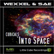 Wexxel & Sae Cubicals Into Space