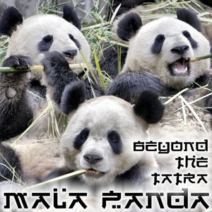 Mala Panda - Beyond The Tatra (Karate Panda Fu Slovakia) Mala Panda - Beyond The Tatra (Karate Panda Fu Slovakia)