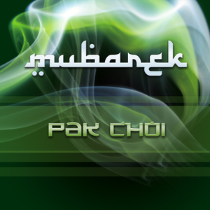 DJ Mubarek - Pak Choi (Moddelay)