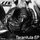 Various Tarantula EP