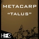 Metacarp Talus