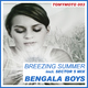 Bengala Boys Breezing Summer