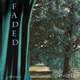 Overlap Faded Overlap Faded
