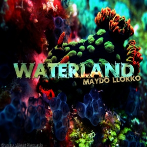Maydo Llokko - Waterland (4Beat Records)