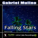 Gabriel Mulino Falling Stars