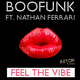 Boofunk ft. Nathan Ferrari Feel The Vibe