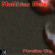 Matthias Reis Paradise City