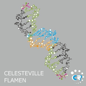 Flamen - Celesteville (Chibar Records)