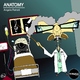 Angelo Ferreri Anatomy