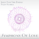 Jelly For The Babies And Filip Fisher Symphony of Love