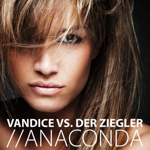 Vandice Vs. Der Ziegler - Anaconda (Roomboys Records)