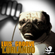 T.Orlando Luis' Groove