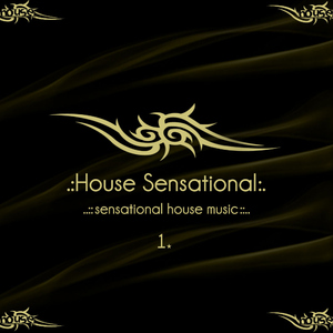 El Age Project - House Sensational Vol.01 (Drumzone Records) El Age Project - House Sensational Vol.01 (Drumzone Records)