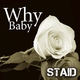 Staid Why Baby